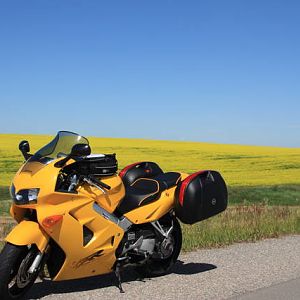 IMG_1357