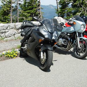 Mt_Rainier_Ride_7-5-09_004