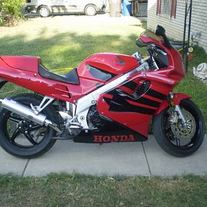 silkys_pics_062