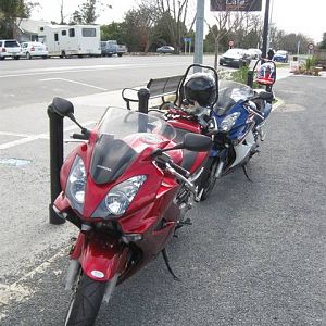 Lunch at Pirongia