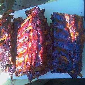 RIBS