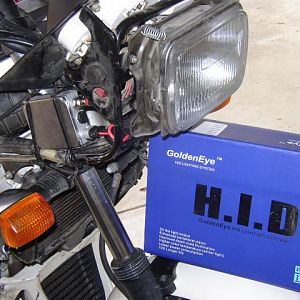 HID1