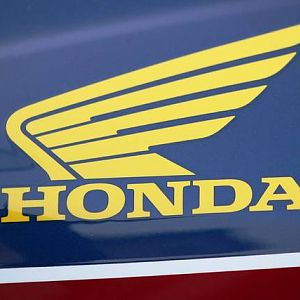 Logo Close-up