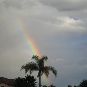 IMG_0966