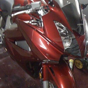 Crush Candy Red