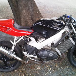 Streetfighter/rat project