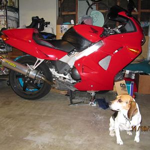 IMG_41641