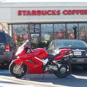 Scarlett @ Starbucks