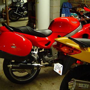 wife's triumph sprint