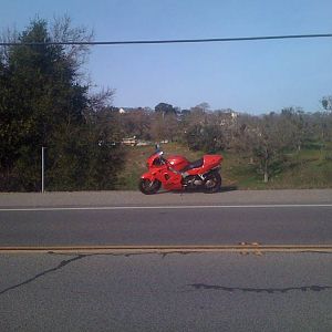 IMG_0580
