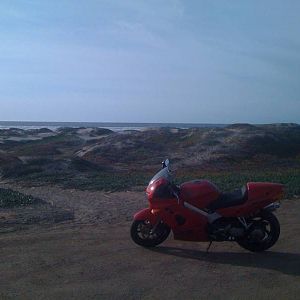 IMG_0587