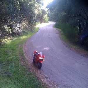IMG_0600
