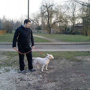 Member Album by Petya Hungary