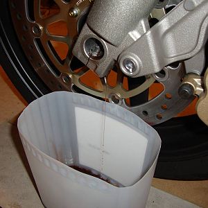 DSC00562