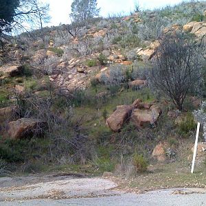7_las_pilitas_rock_hill