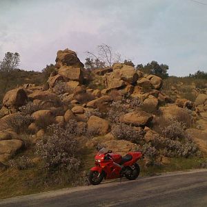 9b_las_pilitas_by_rocks