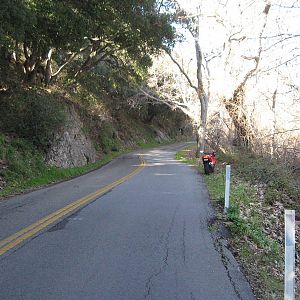 IMG_3650