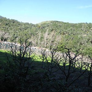 IMG_3658