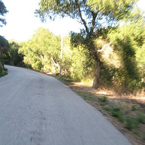 IMG_36641
