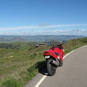 IMG_36691