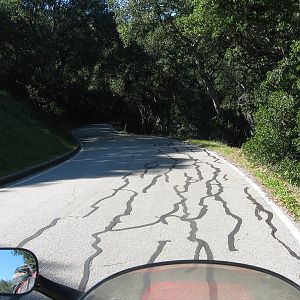 IMG_36721