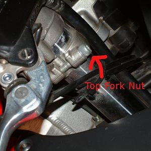 TopForkNut