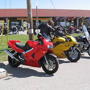 my vfier and my buddys duck