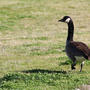 IMG_0293