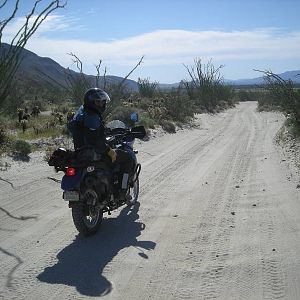 DSCN3111