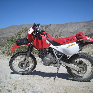 DSCN3113
