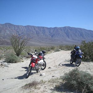 DSCN3114