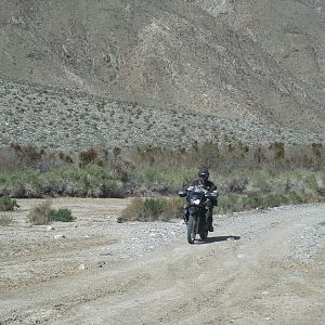 DSCN3124