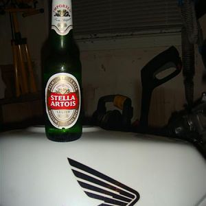 Stella