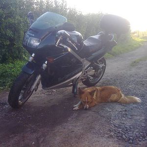 my 93vfr 750