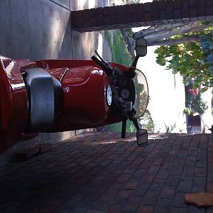 IMG_00553