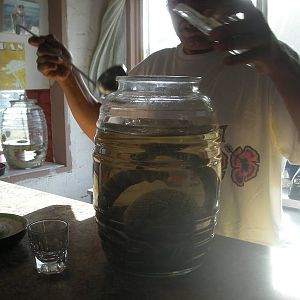 DSCN3464