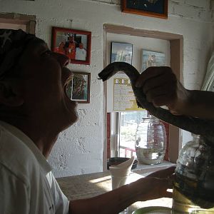 DSCN3465