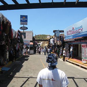 b9m_vendors