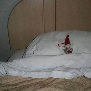 IMGP0686