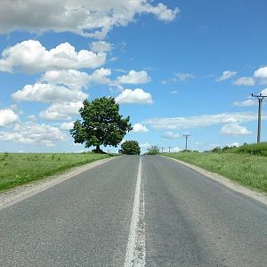 1on the way to Dobrogea