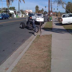 Picture_or_Video_009