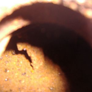 in_tank_web1