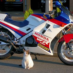 1986 UK VFR750 in US interceptor colours