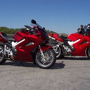 Candy Red and Arrest Me Red