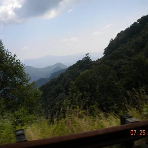 NC143/TN165
