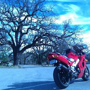 Motorcycle Pics and Trips
