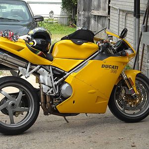 nice 03 duck