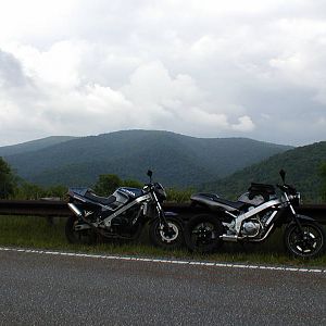P6080025