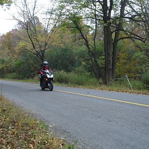 Picton area, Oct. 3rd 2010