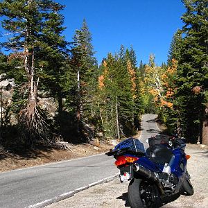 IMG_03841